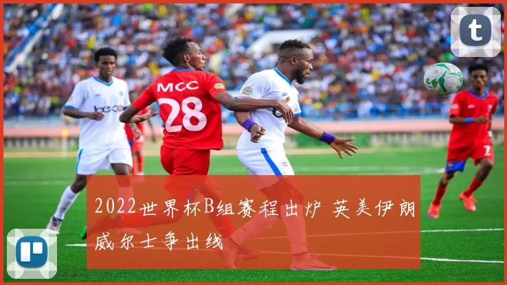 2022世界杯B组赛程出炉 英美伊朗威尔士争出线