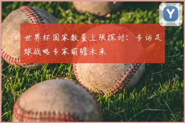 世界杯国家数量上限探讨:专访足球战略专家前瞻未来