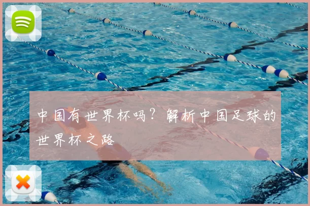 中国有世界杯吗？解析中国足球的世界杯之路