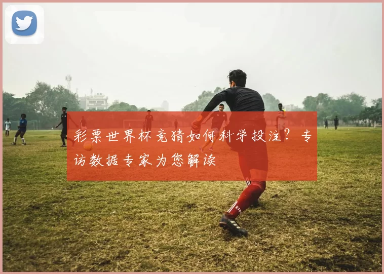 彩票世界杯竞猜如何科学投注?专访数据专家为您解读