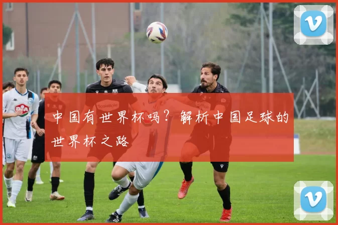 中国有世界杯吗？解析中国足球的世界杯之路