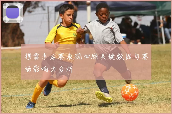 穆雷季后赛表现回顾关键数据与赛场影响力分析
