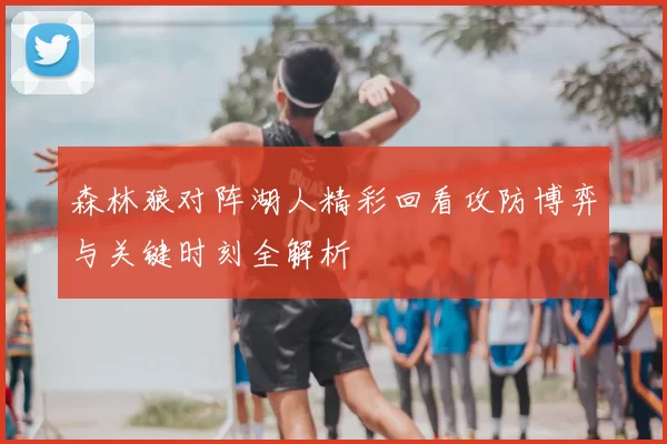 森林狼对阵湖人精彩回看攻防博弈与关键时刻全解析