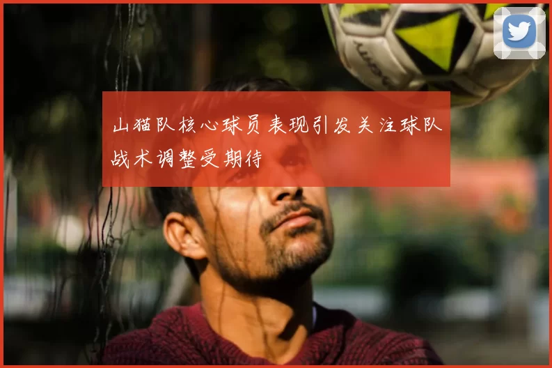 山猫队核心球员表现引发关注球队战术调整受期待