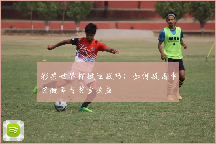 彩票世界杯投注技巧：如何提高中奖概率与奖金收益