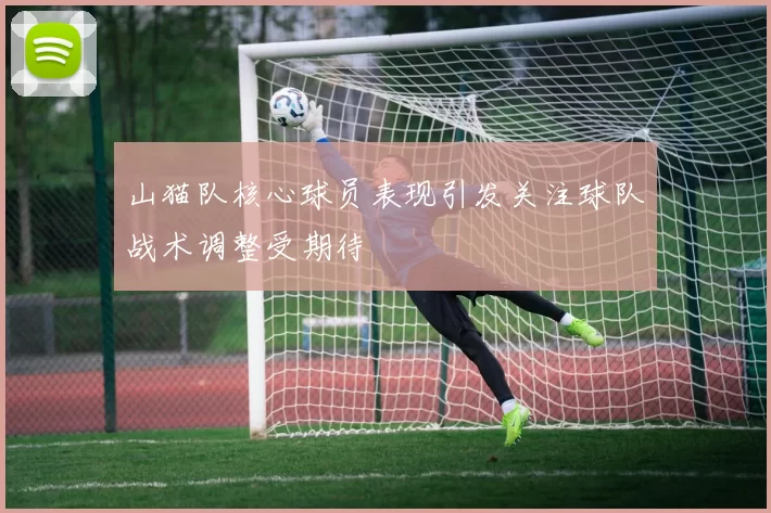 山猫队核心球员表现引发关注球队战术调整受期待