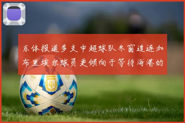 东体报道多支中超球队冬窗追逐加布里埃尔球员更倾向于等待海港的机会
