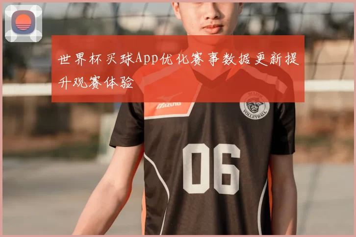 世界杯买球App优化赛事数据更新提升观赛体验