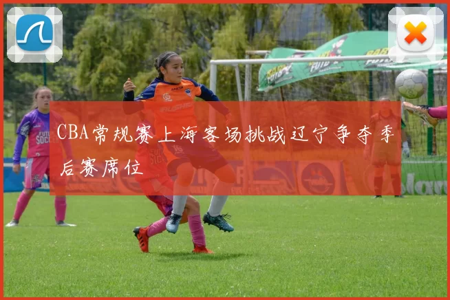 CBA常规赛上海客场挑战辽宁争夺季后赛席位