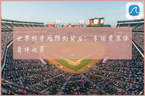 世界杯夺冠预测背后：专访资深体育评论员