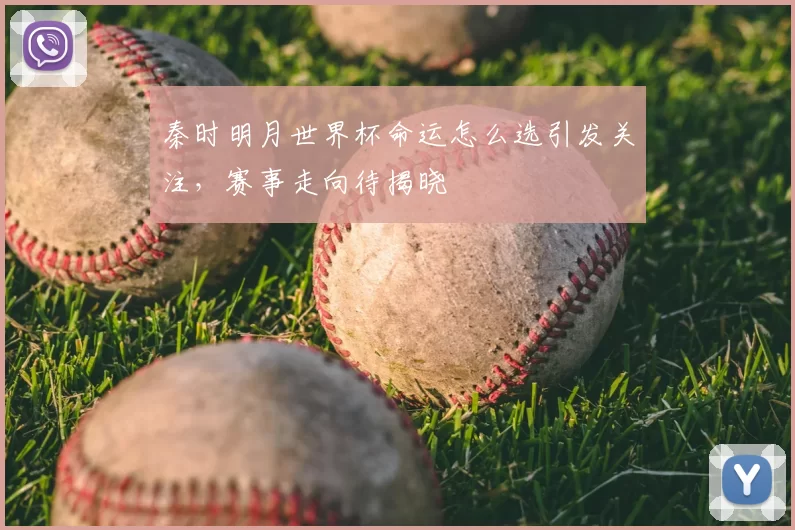 秦时明月世界杯命运怎么选引发关注,赛事走向待揭晓