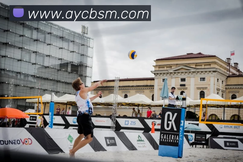 App Interface Preview