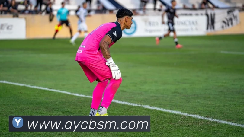 华体官网登录APP 高清赛事图